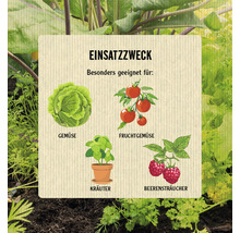 Illustration mit dem Anwendungsbereich Gemüse, Obstgemüse, Kräuter und Beerensträucher