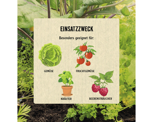 Illustration mit dem Anwendungsbereich Gemüse, Obstgemüse, Kräuter und Beerensträucher
