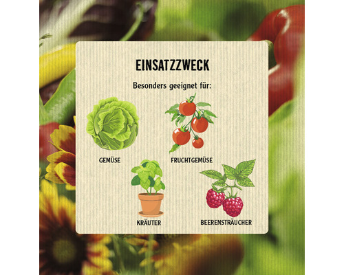 Illustration von Gemüsesorten: Gemüse, Obstgemüse, Kräuter, Beerensträucher