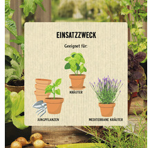 Illustration verschiedener Pflanzen in Töpfen für den Garten