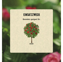 Verwendungszweck: Besonders geeignet für Rosen