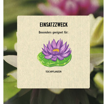 Einsatzzweck: Besonders geeignet für Teichpflanzen