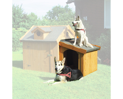 Anbau, Windfang promadino für Hundehütte Max 69 x 92 x 78 cm braun