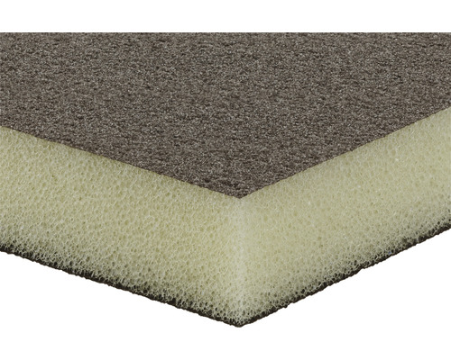 Reinigungsschwamm mit Schleiffläche