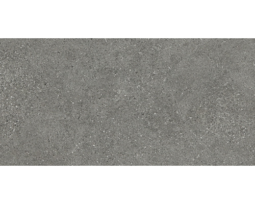 Feinsteinzeug Bodenfliese Alpen 30x60 cm grau matt rektifiziert Feinsteinzeug Bodenfliese Alpen 30x60 cm grau matt rektifiziert