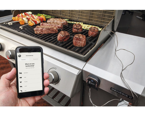 Grillszene mit Steaks, Gemüsespießen und Grillthermometer-App auf einem Smartphone