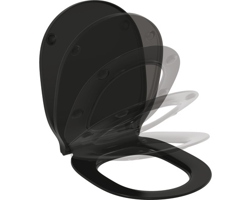 Toilettendeckel aus Kunststoff mit Absenkautomatik