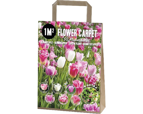 Verpackung Blumenzwiebeln für einen Quadratmeter Blumenbeet