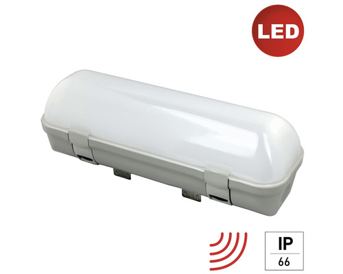 LED (Feuchtraum-)Ovalleuchte Midi weiß/grau mit Sensor 1300 lm IP 65 4000 K kaltweiß