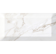 Steingut Wandfliese Metro Carrara 10x20 cm weiß glänzend