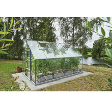 Gewächshaus im Garten mit Pflanzen