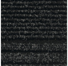 Schmutzfangläufer Malaga DB FB20 schwarz/weiß 67 cm (Meterware)