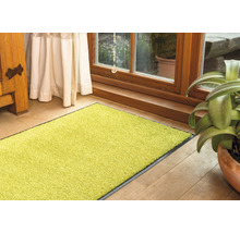 Grüner Teppichläufer im Eingangsbereich eines Hauses.