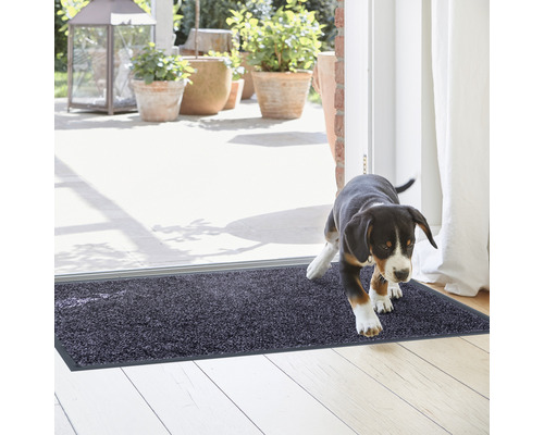 Schmutzfangmatte mit einem Hund der durch die Tür kommt.