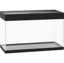 Rechteckiges Glasaquarium mit Abdeckung