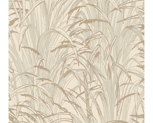 Vliestapete 38600-2 #Hygge Schilfgras beige Vliestapete 38600-2 #Hygge Schilfgras beige
