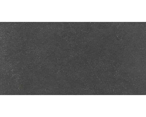 Feinsteinzeug Bodenfliese Alpen Graphit 30x60 cm graphit matt rektifiziert Feinsteinzeug Bodenfliese Alpen Graphit 30x60 cm graphit matt rektifiziert