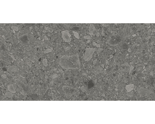 Feinsteinzeug Bodenfliese Donau 30,0x60,0 cm grau matt rektifiziert