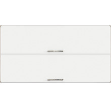 Hängeschrank mit zwei Türen und Griffen