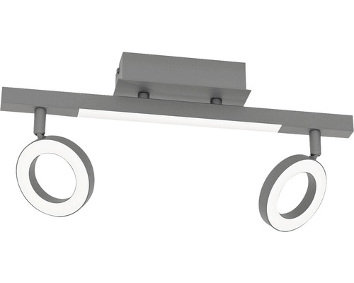 LED Deckenleuchte mit zwei runden Strahlern