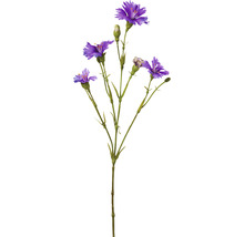 Künstliche Skabiose mit mehreren Blüten und Knospen