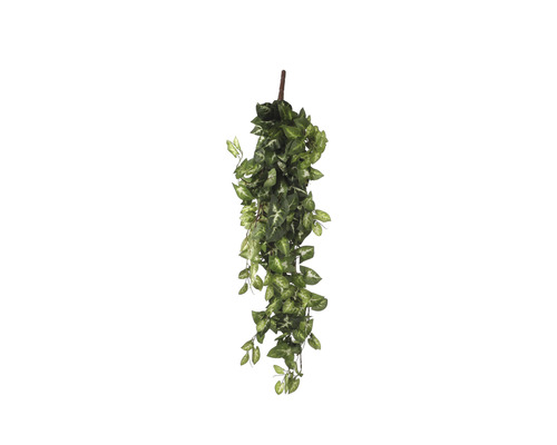 Kunstpflanze Fittonia Höhe: 15 cm grün