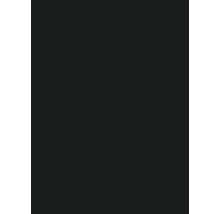 PICCANTE Küchenarbeitsplatte 0190 Schwarz Antifingerprint 3-seitig bekantet, inkl. 2 zusätzlicher Dekorkanten, kartonverpackt 2460x635x30 mm-thumb-2 PICCANTE Küchenarbeitsplatte 0190 Schwarz Antifingerprint 3-seitig bekantet, inkl. 2 zusätzlicher Dekorkanten, kartonverpackt 2460x635x30 mm-thumb-2