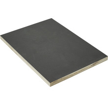 Siebdruckplatte Platte phenolharzbeschichtet Dunkelbraun 2500 x 1250 x 12 mm-thumb-1