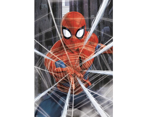 Maxiposter Spiderman gotch 61x91,5 cm