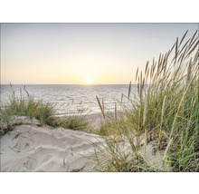 Dünenlandschaft mit Strandhafer und Blick auf das Meer bei Sonnenuntergang