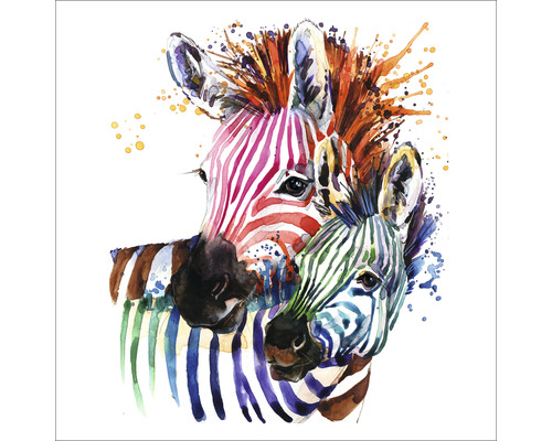 Leinwandbild Colored Zebras 40x40 cm