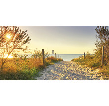 Sandweg zum Meer mit Holzpfosten und Vegetation