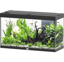 Aquarium aquatlantis Splendid 200 inkl. Beleuchtung, Filter schwarz