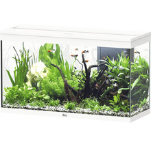 Aquarium aquatlantis Splendid 200 inkl. Beleuchtung, Filter weiß