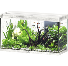 Aquarium aquatlantis Splendid 200 inkl. Beleuchtung, Filter Esche weiß