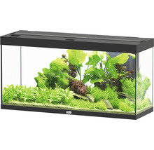 Aquarium aquatlantis Splendid 240 inkl. Beleuchtung, Filter schwarz