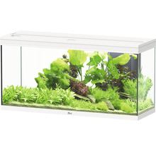 Aquarium aquatlantis Splendid 240 inkl. Beleuchtung, Filter weiß