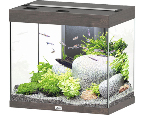 Aquarium aquatlantis Splendid 110 inkl. Beleuchtung, Filter Wildeiche dunkel