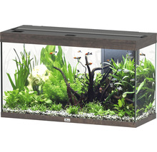 Aquarium aquatlantis Splendid 200 inkl. Beleuchtung, Filter dunkel