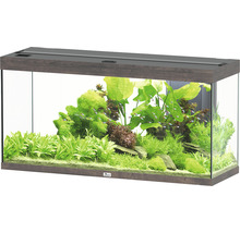 Aquarium aquatlantis Splendid 240 inkl. Beleuchtung, Filter Wildeiche dunkel