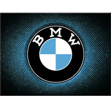 BMW Logo