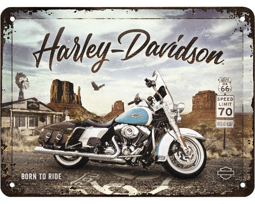 Dekoratives Metallschild mit Harley Davidson und Motorrad Motiv