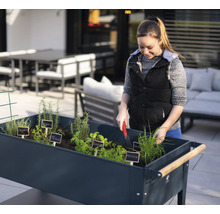 Frau arbeitet im Gartenbeet mit Kräutern im Freien