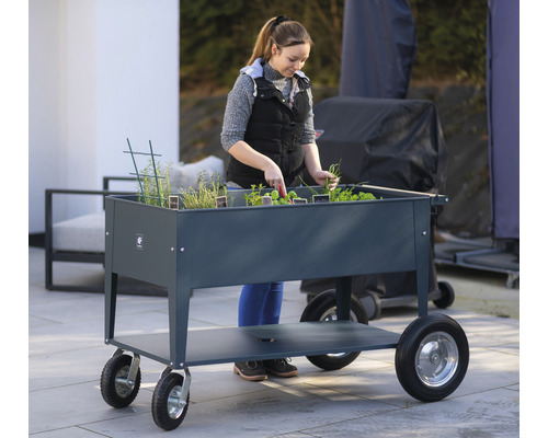 Frau erntet Kräuter in einem Kräuterhochbeet auf Rädern.