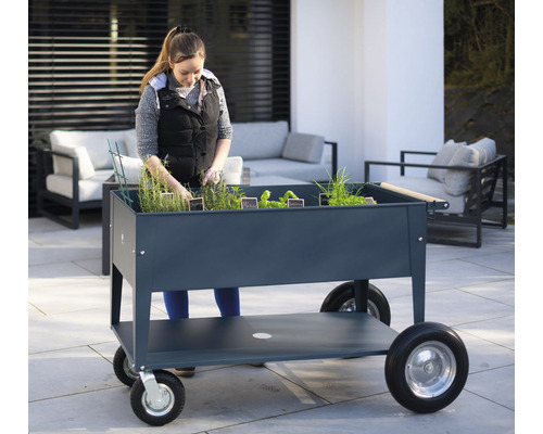 Frau arbeitet an einem fahrbaren Hochbeet mit Pflanzen auf einer Terrasse.