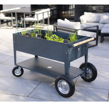 Rollbarer Kräutergartenwagen mit Pflanzen und Kräutern