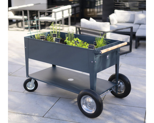 Rollbarer Kräutergartenwagen mit Pflanzen und Kräutern