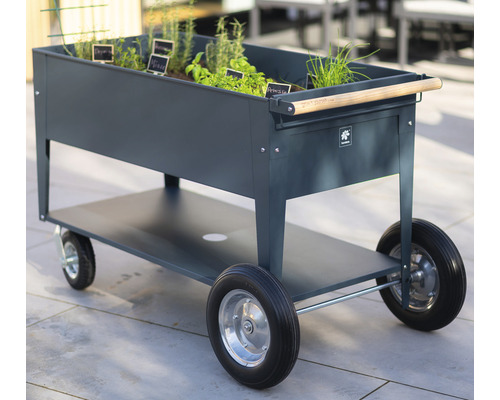 Hochbeetwagen mit Kräutern und Holzgriff