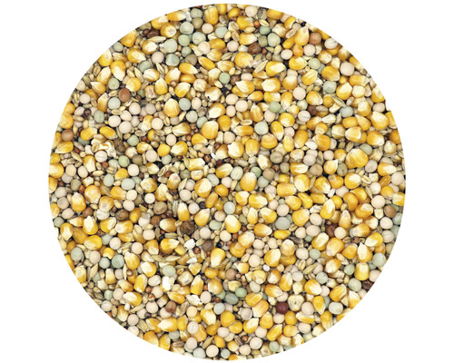 Nahaufnahme von Vogelfutter aus Mais, Erbsen und Getreide