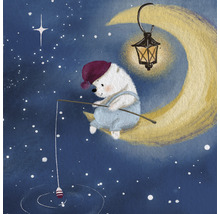 Illustration eines Bären, der auf dem Mond sitzt und fischt